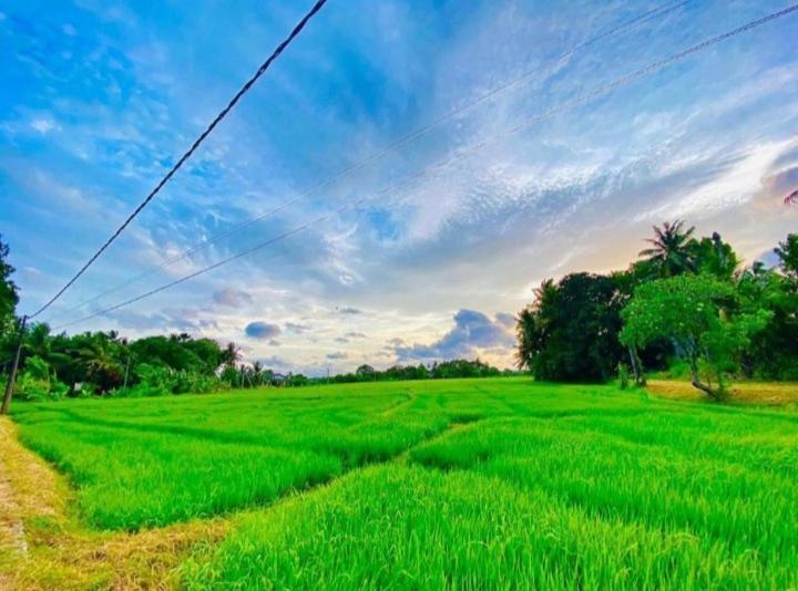 Arani Homestay Polonnaruwa Εξωτερικό φωτογραφία